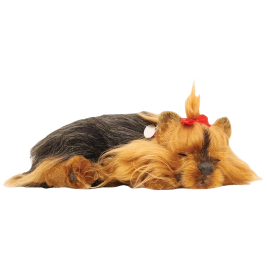 Precious Petzzz Breathing Yorkshire Terrier