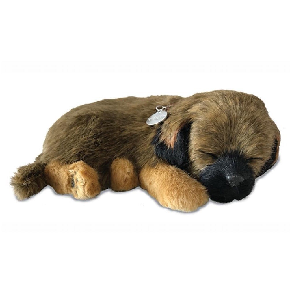 Lifelike Border Terrier Puppy - Loula’s Little Nursery