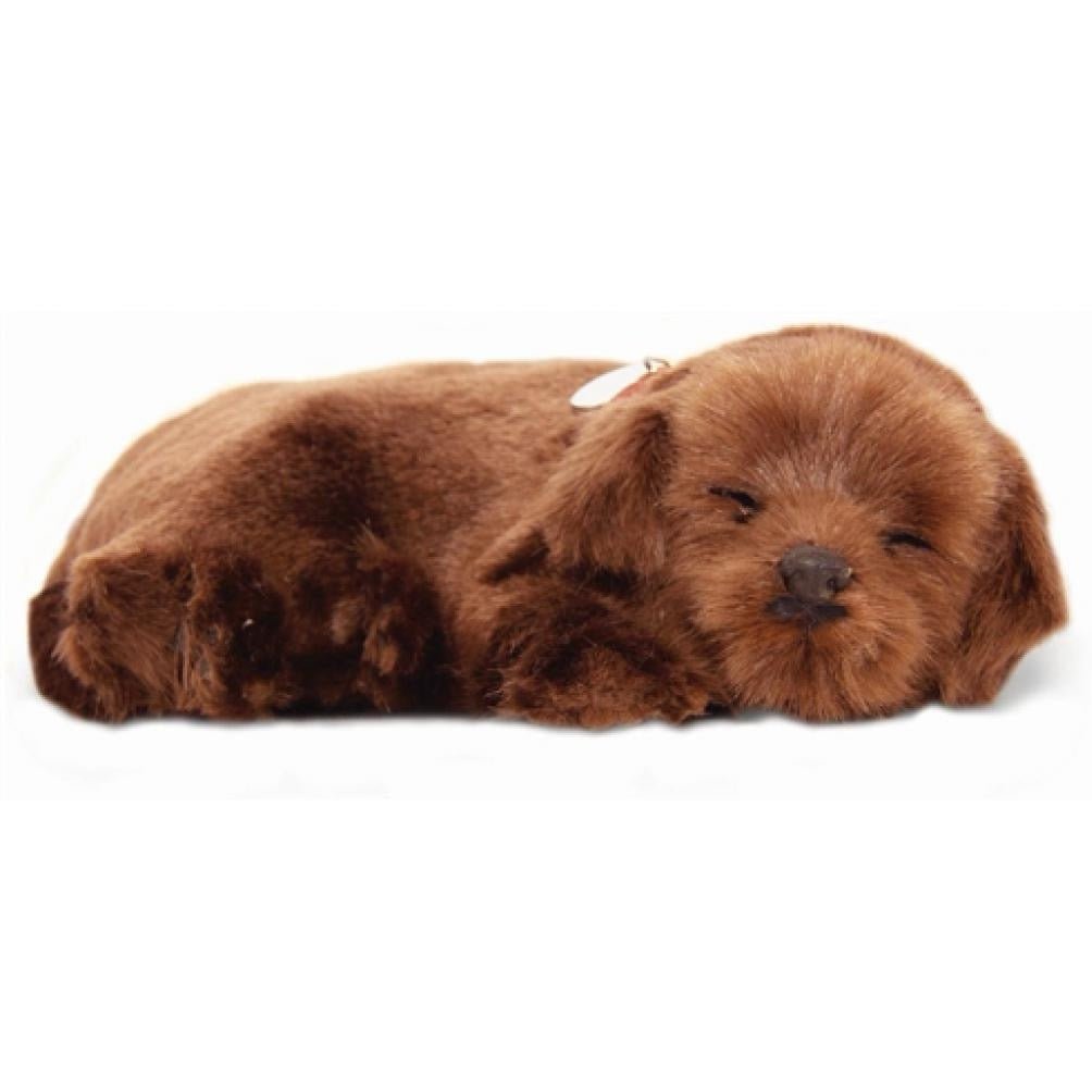 Lifelike Chocolate Lab Puppy - Loula’s Little Nursery