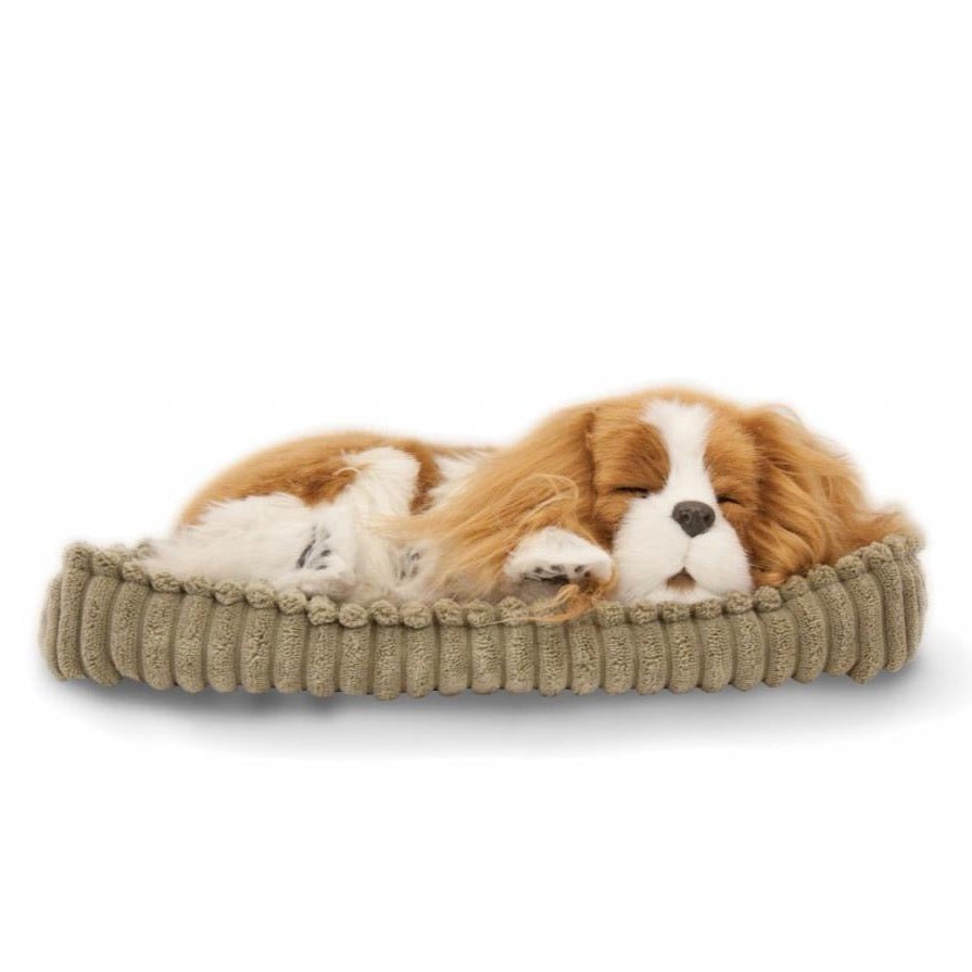 Lifelike King Charles Puppy - Loula’s Little Nursery