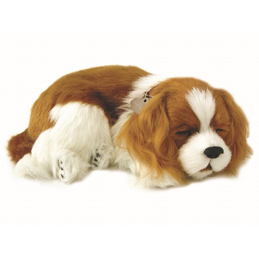 Lifelike King Charles Puppy - Loula’s Little Nursery